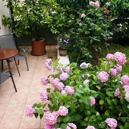 Apartment Ljubica Vrsar Exterior foto